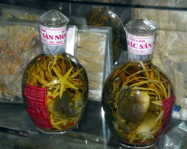 Snake Wine (24 pics)