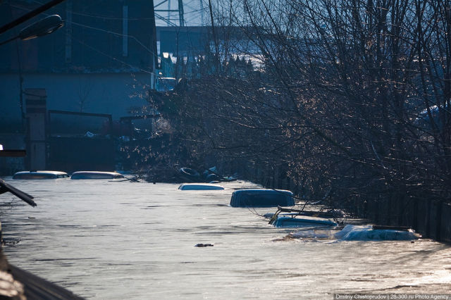 “Car” Flood (12 pics)