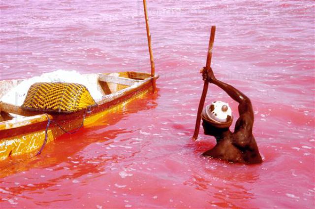 Pink Lake in Senegal (20 pics)