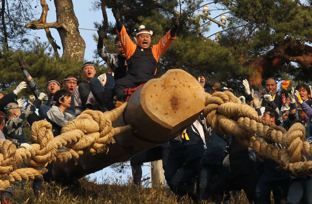 Japanese Onbashira Festival (22 pics)