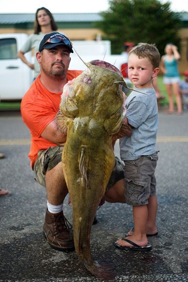 Unusual Tournament: Fishing for Catfish with Bare Hands (30 pics)