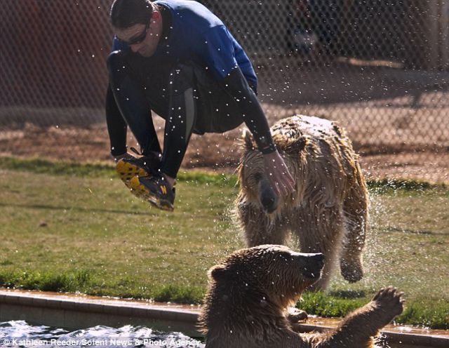 Chasing Games with Grizzly Bears (6 pics)