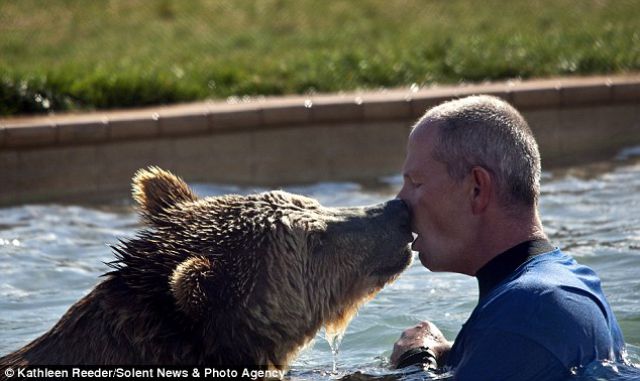 Chasing Games with Grizzly Bears (6 pics)
