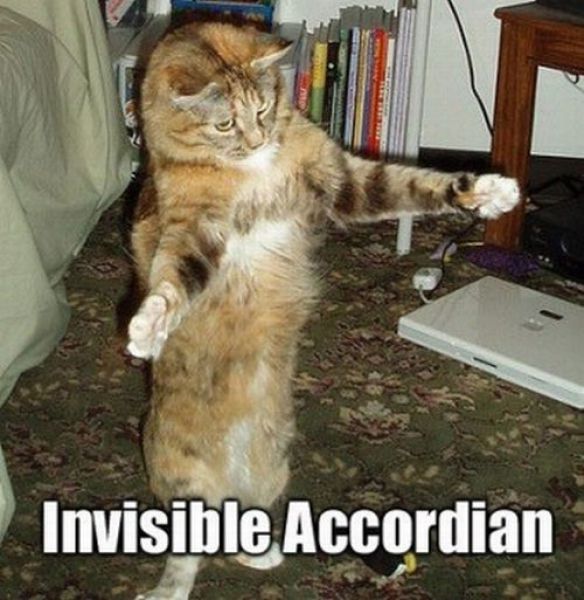 Cats Startled by Something Invisible (25 pics)