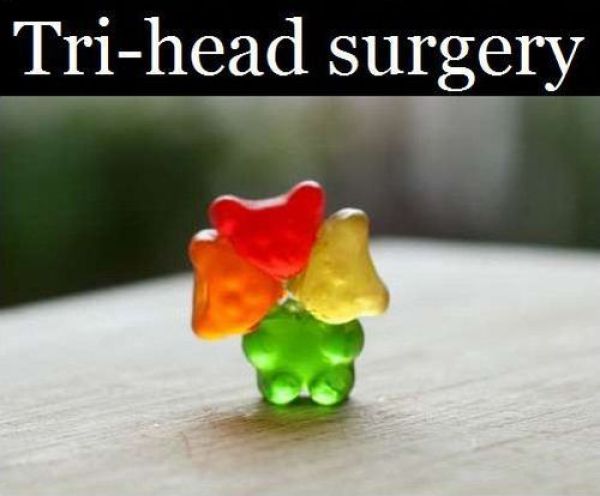 Surgery for Gummy Bears (12 pics)