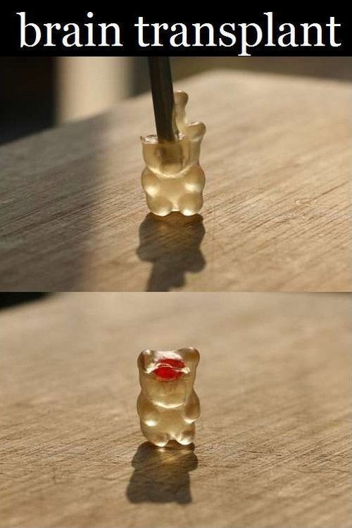 Surgery for Gummy Bears (12 pics)