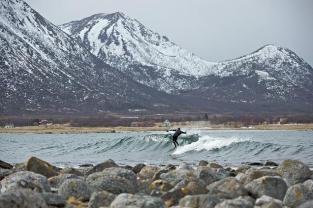 Arctic Surf (14 pics)