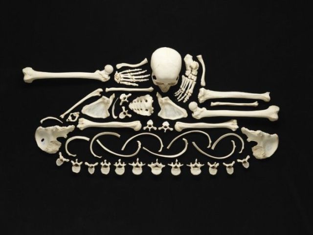 Art Made from a Human Skeleton (12 pics)