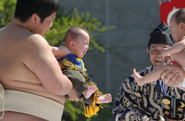 ‘Crying Sumo’ for Babies (28 pics)