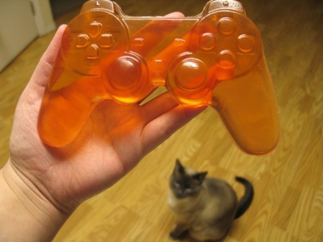 A Present for a Gamer (9 pics)