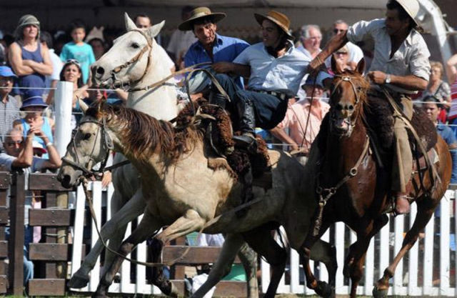 Rodeo in Uruguay (16 pics)