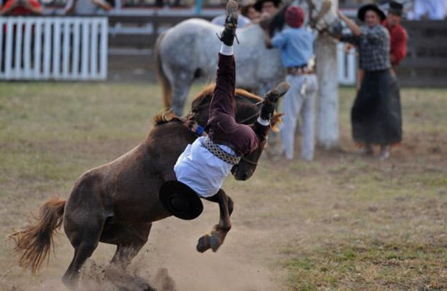 Rodeo in Uruguay (16 pics)