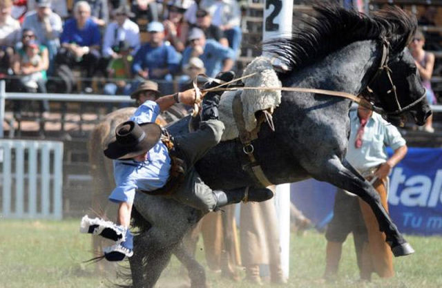 Rodeo in Uruguay (16 pics) - Izismile.com