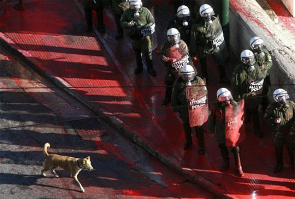 The Dog Who Loves Riots (17 pics)
