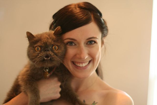 A Wedding Cat (17 pics)