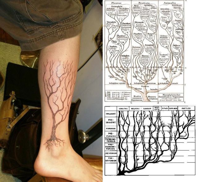 Scientific Tattoos. Part 2 (53 pics)