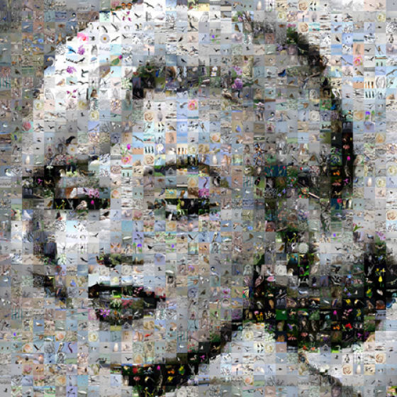 Very Original Photo Mosaics (20 pics) - Izismile.com