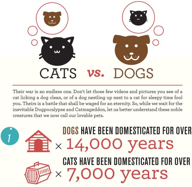 About Cats and Dogs