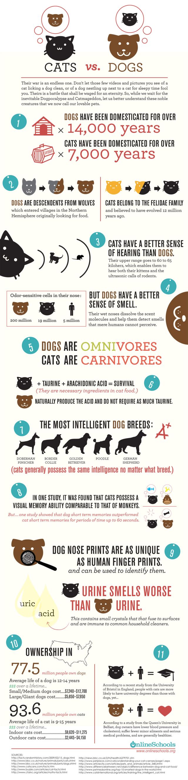 About Cats and Dogs
