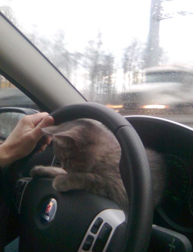Extreme Driving in a Russian Way (6 pics)