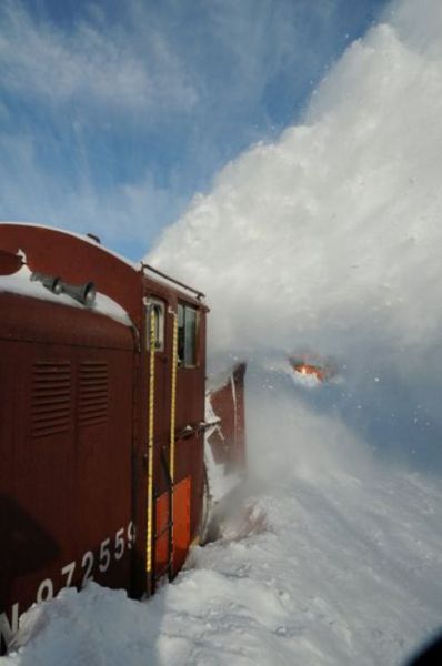 A Very Unusual Train (27 pics)