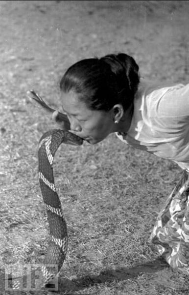 How People Love Their Snakes (23 pics)