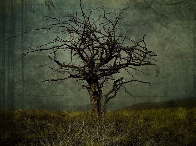 Amazing Grunge Photography (25 pics) - Izismile.com