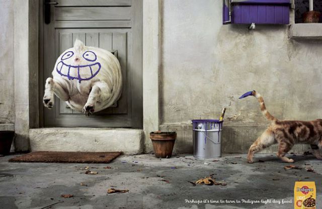 Amazing Ads with Dogs (31 pics)