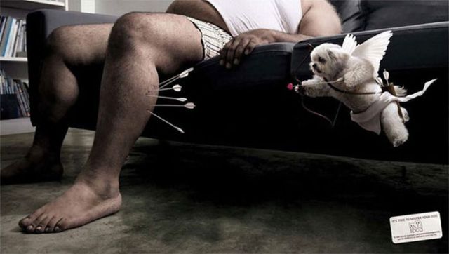 Amazing Ads with Dogs (31 pics)