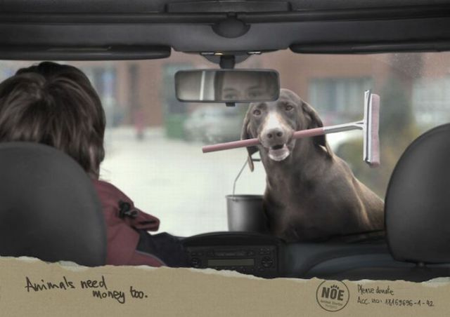 Amazing Ads with Dogs (31 pics)