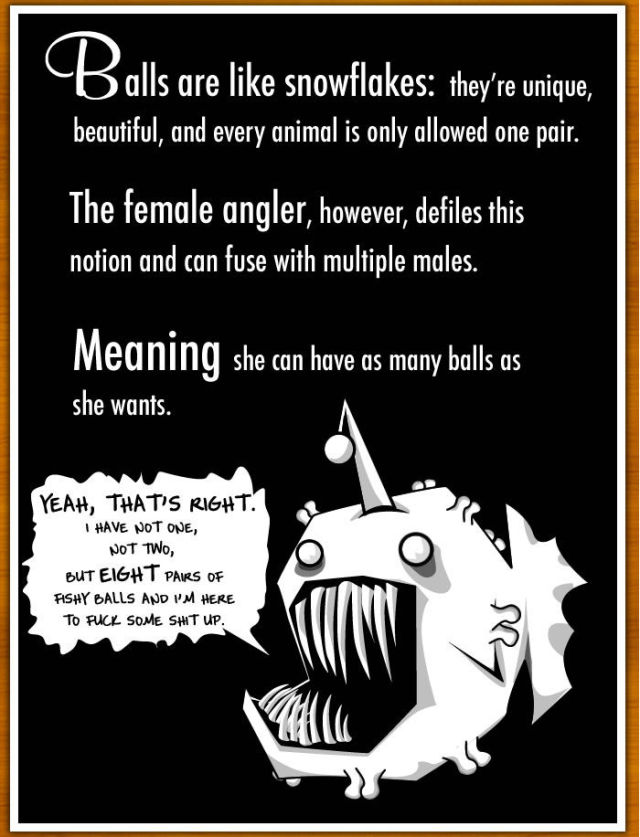 Curious Facts about Anglerfish (6 pics)