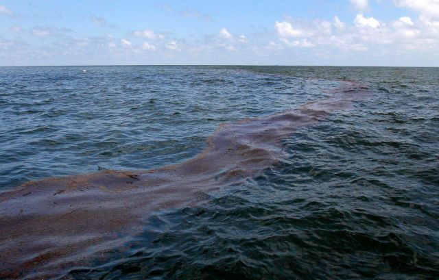 Oil Slowly Reaches Louisiana’s Marshes (39 pics)