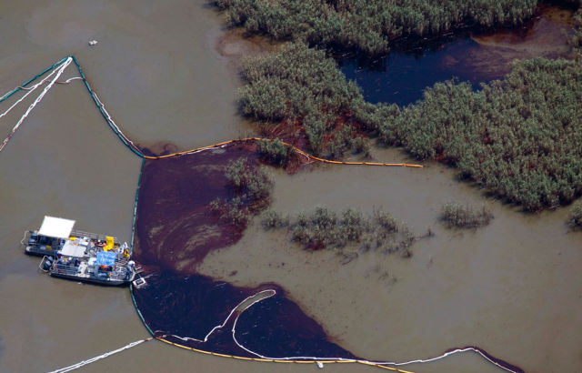 Oil Slowly Reaches Louisiana’s Marshes (39 pics)