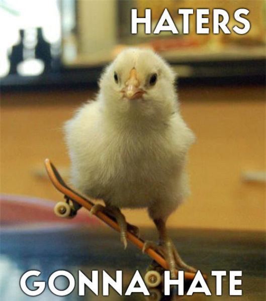 For All the Haters (26 pics)