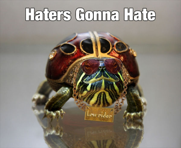 For All the Haters (26 pics)