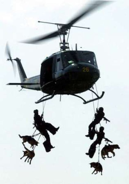 Dogs Do Parachutes Too (23 pics)