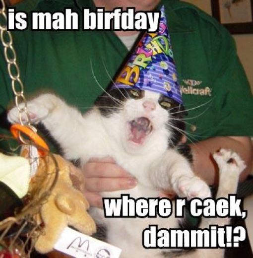 How Cats Celebrate Their Birthdays! (27 pics)