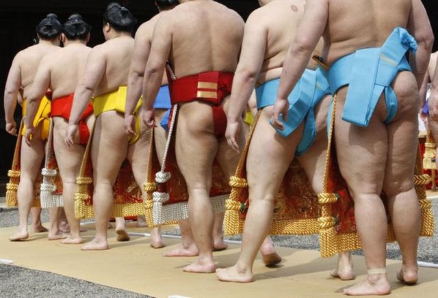 Sumo (13 pics)