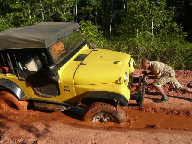 Another Very Bad Road Situated in Brazil (65 pics)