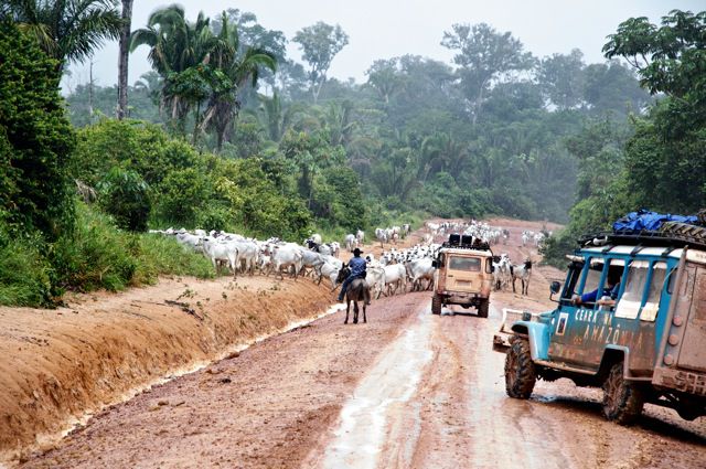 Another Very Bad Road Situated in Brazil (65 pics)