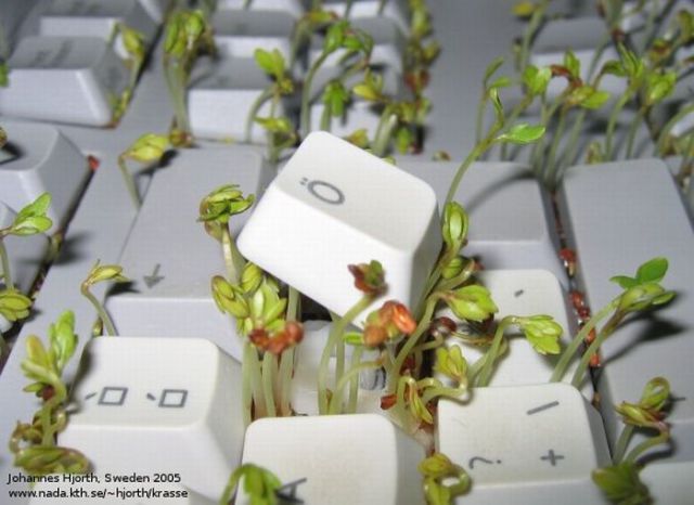 How to Make Your Keyboard Eco-Friendly (8 pics)