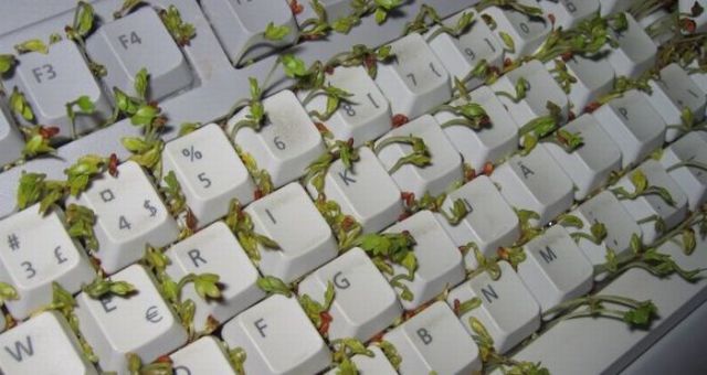 How to Make Your Keyboard Eco-Friendly (8 pics)