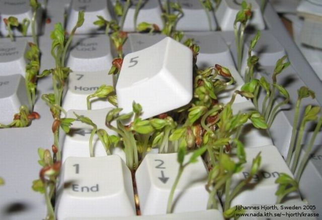 How to Make Your Keyboard Eco-Friendly (8 pics)