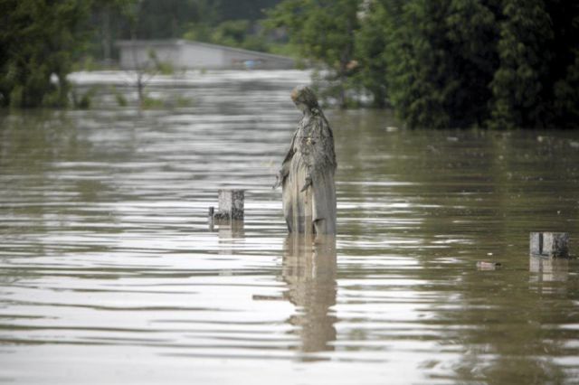 Horrible Floods in Europe (61 pics)