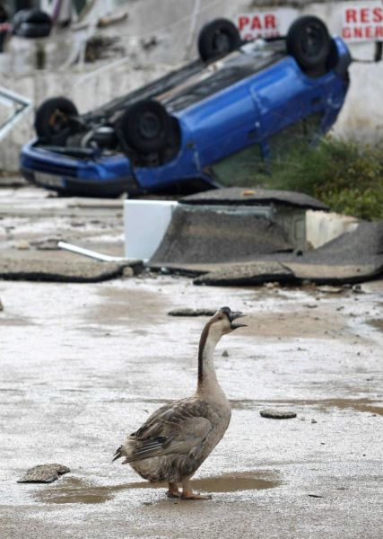 Horrible Floods in Europe (61 pics)