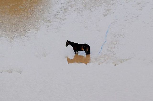 Horrible Floods in Europe (61 pics)