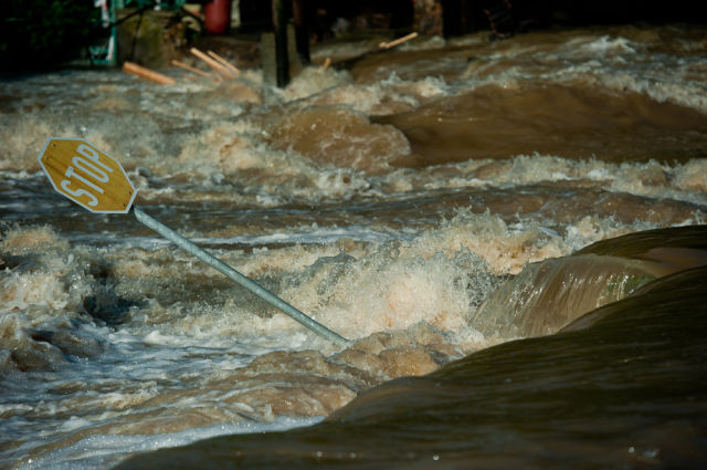 Horrible Floods in Europe (61 pics)