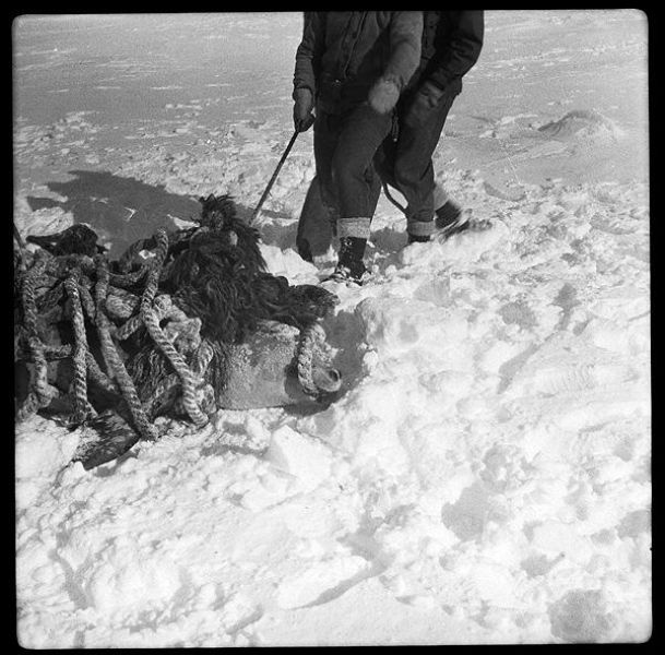 Rare Black and White Photos of the North Pole Expedition (25 pics)