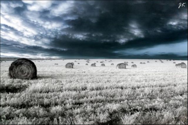 Amazing Infrared Pictures. Part 2 (32 pics)