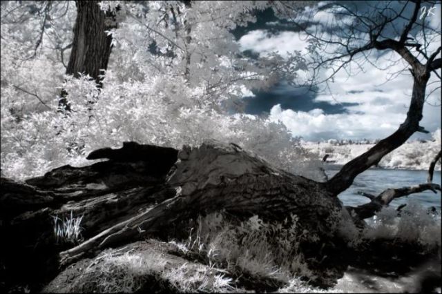 Amazing Infrared Pictures. Part 2 (32 pics)